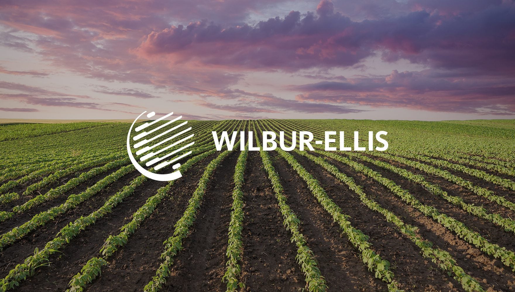 Agribusiness Giant Wilbur-Ellis Made an Unreported Chemical 29 Times — EPA Made It Pay $630K